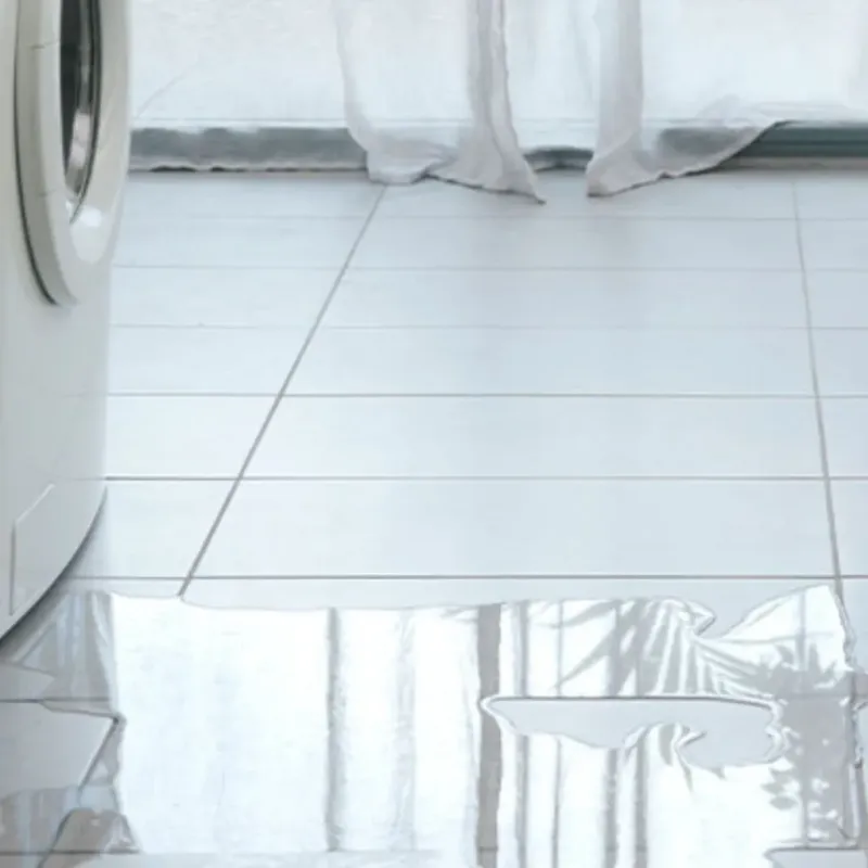 Appliance Leak Cleanup in West Hollywood, CA
